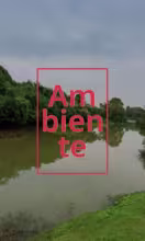Rio en la selva