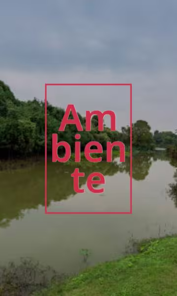 Rio en la selva
